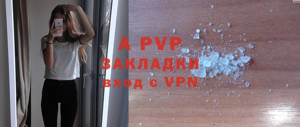 гидропоника Гусиноозёрск