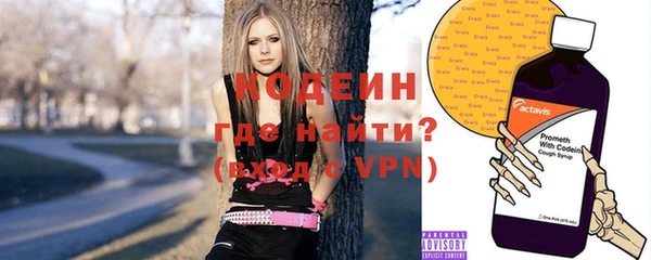 первитин Гусев