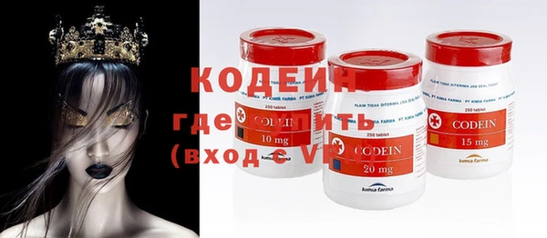 первитин Гусев