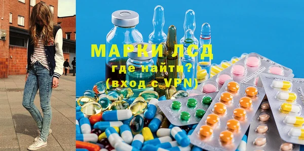 гидропоника Гусиноозёрск