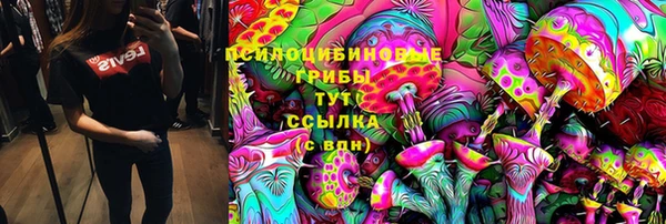 первитин Гусев