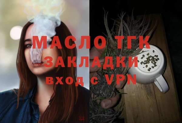 первитин Гусев