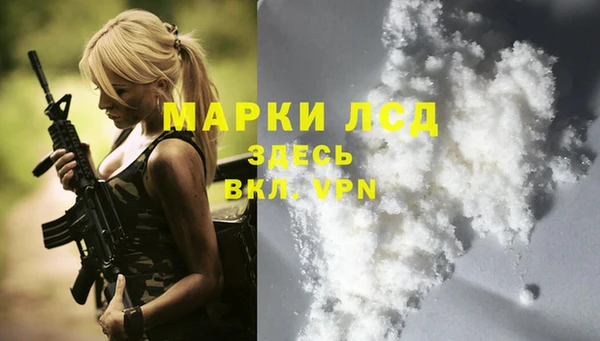 первитин Гусев