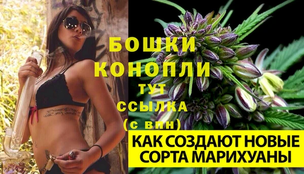 амф Дмитров