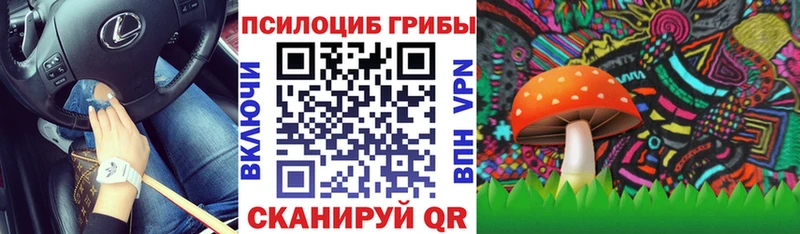 Псилоцибиновые грибы мицелий  продажа наркотиков  Ельня 